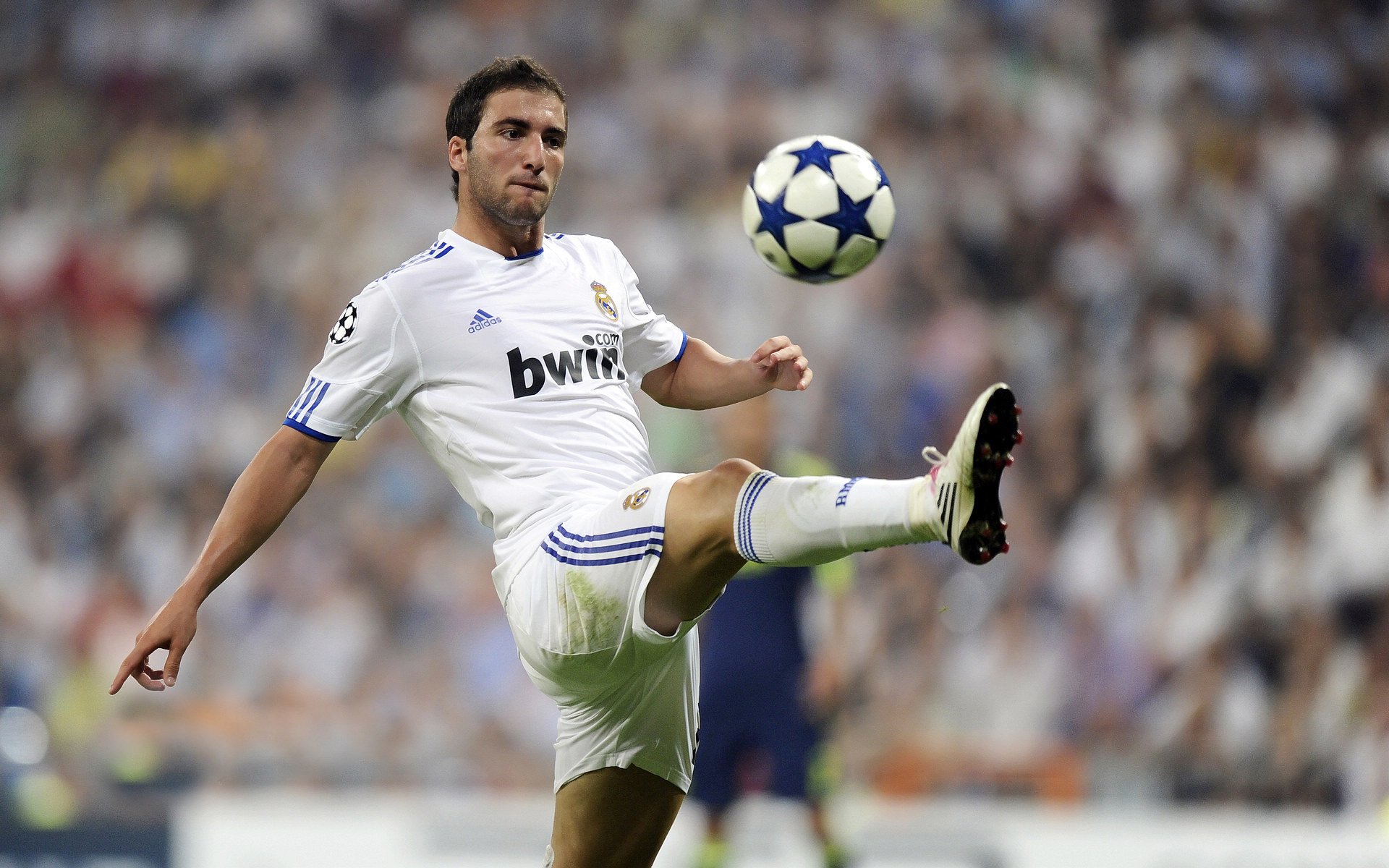 莎拉波娃重要时刻最后时刻胜出，德国队带队取胜！再创辉煌时刻